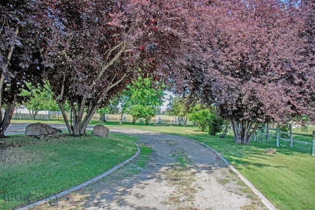 driveway entrance with mature landscaping | Image 30