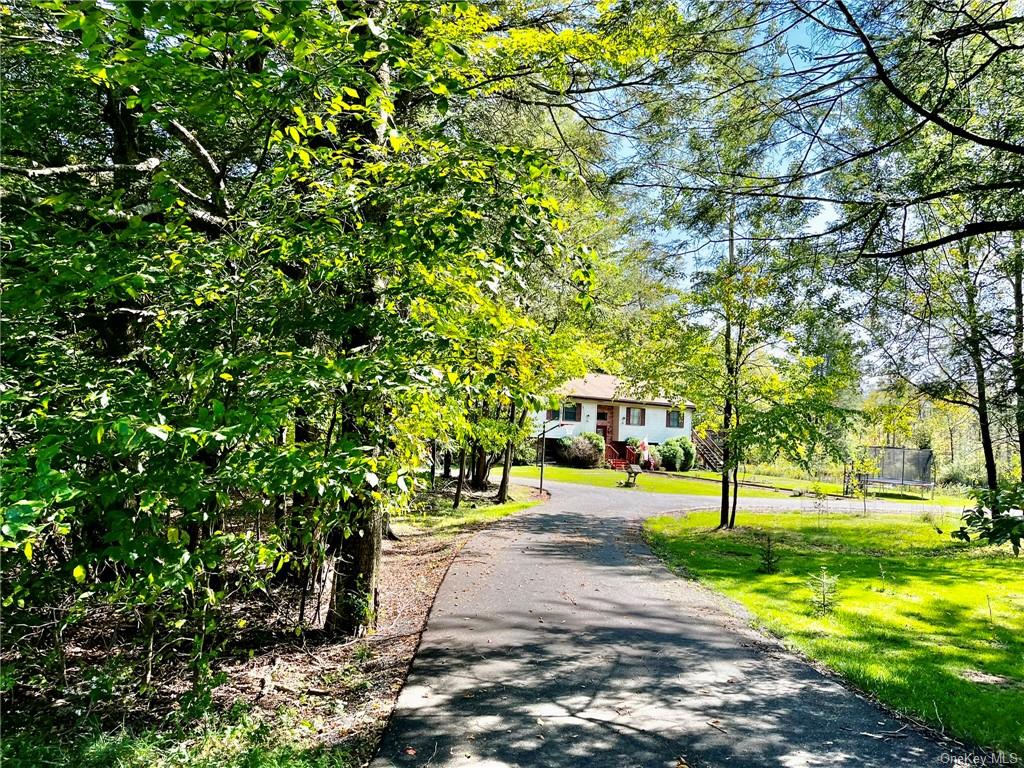 Cold Spring Rd, Liberty, NY 12754