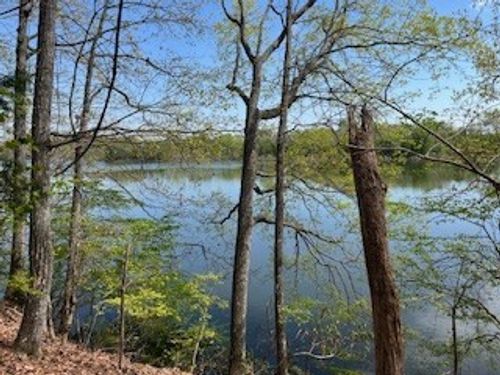 0 Canary Ln, Estill Springs, TN, 37330 | Card Image