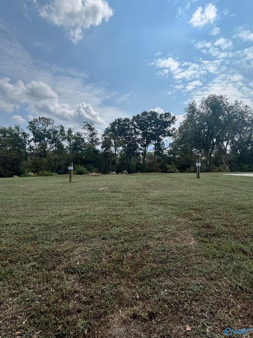 Lot 4 Main St, Gaylesville, AL, 35973 | Card Image