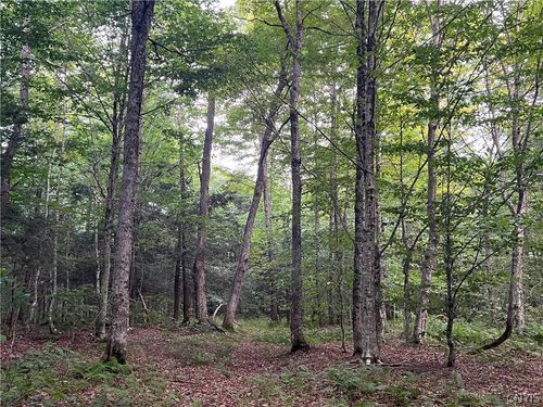 7-7 Creek Rd, Taberg, NY, 13471 | Card Image