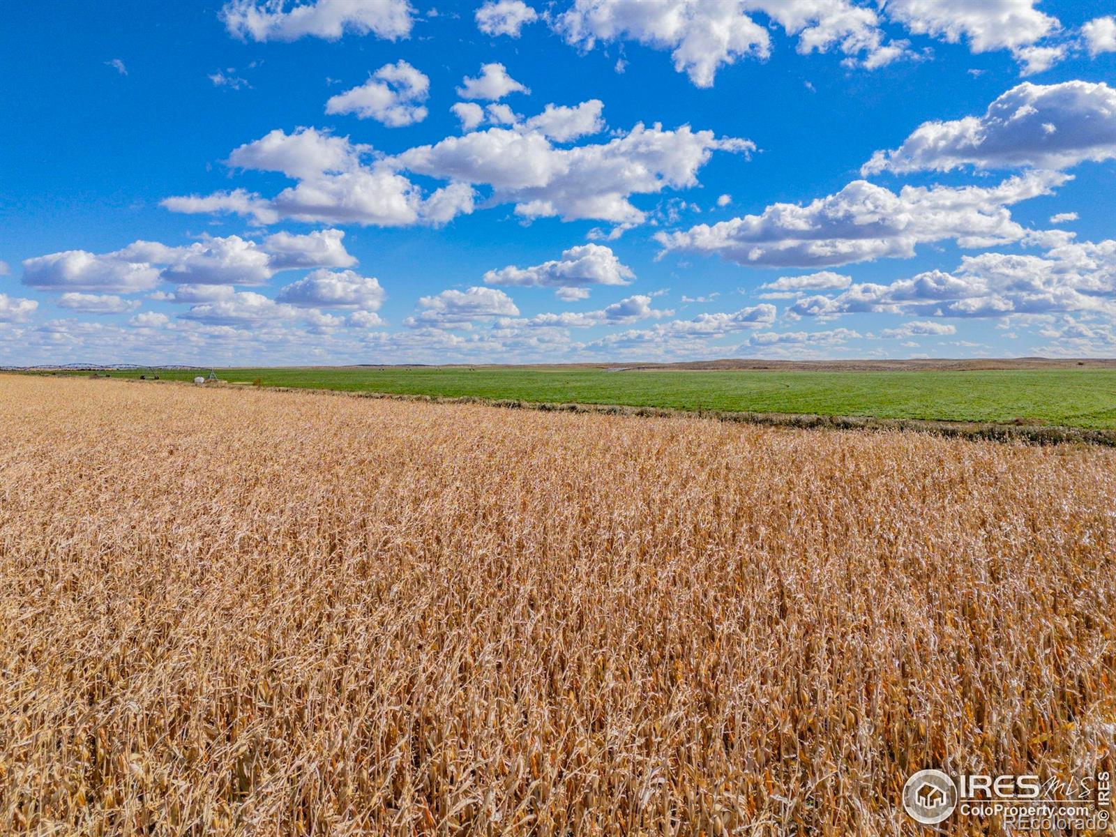 Farm in Fort Morgan 5
