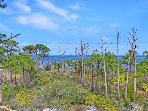 6214 Cape San Blas Rd, Cape San Blas, FL, 32456-4314 | Card Image