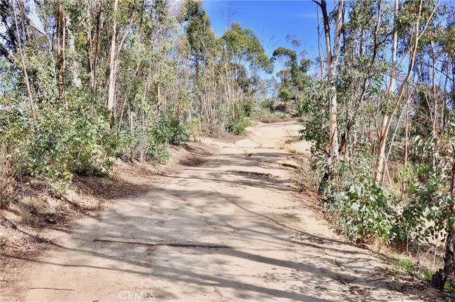 Hiking/biking trails literally around the corner. | Image 42