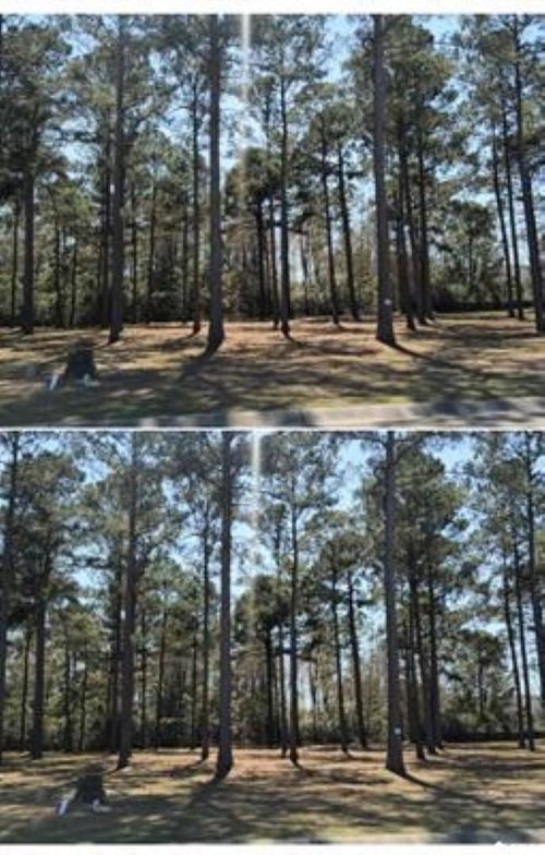 1148 Fiddlehead Way, Myrtle Beach, SC, 29579-3819 | Card Image