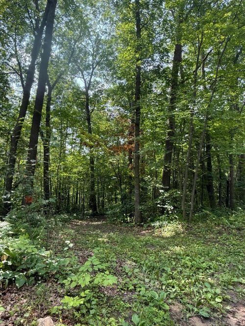 xxx Marble Dr, Cushing, MN, 56443 | Card Image