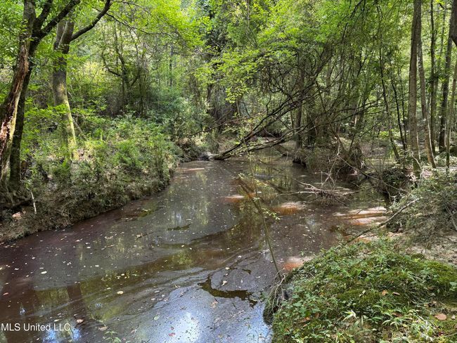 land-for-sale-lincoln-county-ms 15 | Image 17