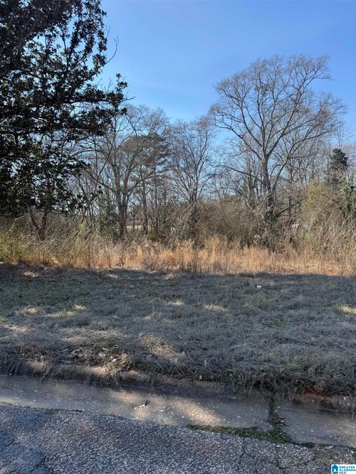 0-625 West Ave, Roanoke, AL, 36274-2254 | Card Image