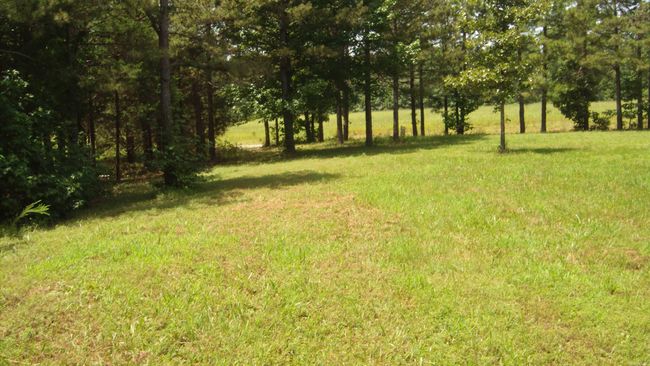 00 Morgan Rd, Home with 0 bedrooms, 0 bathrooms and null parking in Rose Bud AR | Image 6