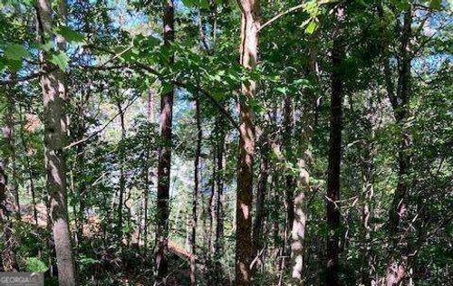140-LOT 140 Red Oak Trail, Ellijay, GA, 30540 | Card Image