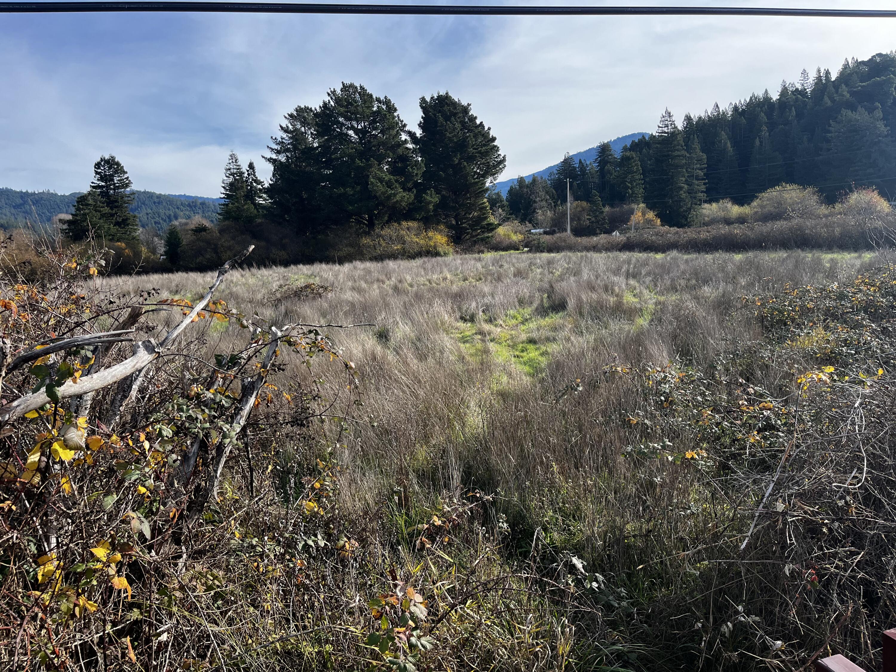 Land in Redcrest