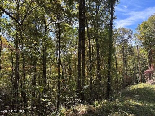 3 Holly Ridge Dr, Topton, NC, 28781-0210 | Card Image