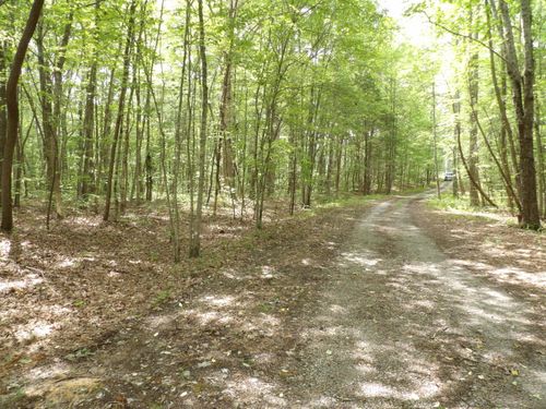 000 Maple Ln, Crossville, TN, 38572 | Card Image