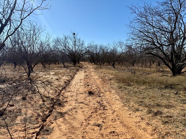 00 W Hwy 158, Home with 0 bedrooms, 0 bathrooms and null parking in Bronte TX | Image 8