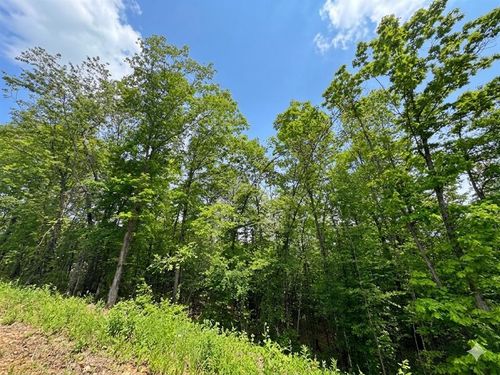 7 Vista Ridge Trail, Watson, OK, 74957 | Card Image