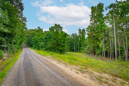 441 Holly Leaf Road, Bee Branch, AR, 72013 | Card Image