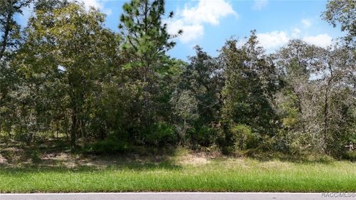 51 Oak Village Boulevard, Homosassa, FL, 34446 | Card Image