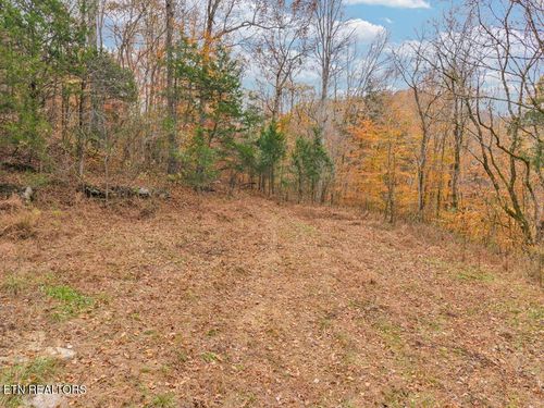 0 Ensor Hollow Rd, Buffalo Valley, TN, 38548 | Card Image