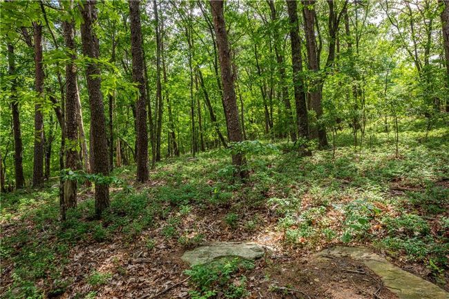206 Mystic Trail Ln, Home with 0 bedrooms, 0 bathrooms and null parking in Jasper GA | Image 9