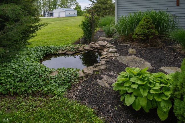 view of grassy yard | Image 39