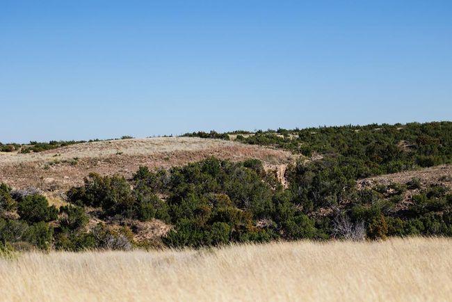 0000 Camp Springs Rd, Home with 0 bedrooms, 0 bathrooms and null parking in Snyder TX | Image 7