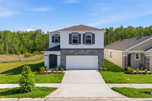 17786 Acorn Drop Road, Land O Lakes, FL, 34638 | Card Image