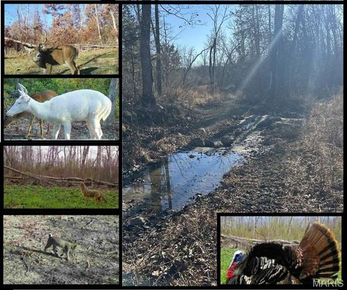 0 Kitchen Rd, Leasburg, MO, 65535 | Card Image