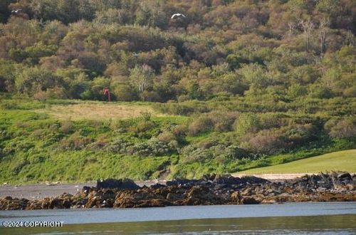 NHN Uyak Bay, Larsen Bay, AK, 99624 | Card Image