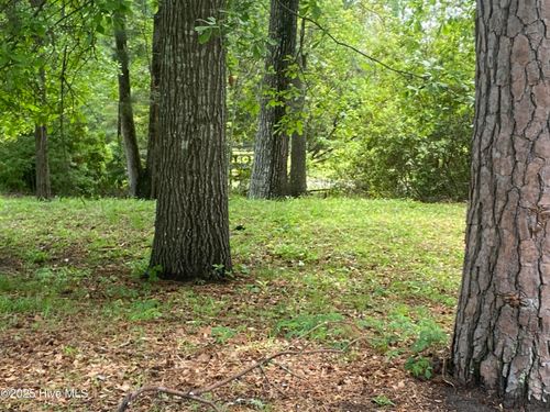 165 Hawks Pond Rd, New Bern, NC, 28562-7311 | Card Image