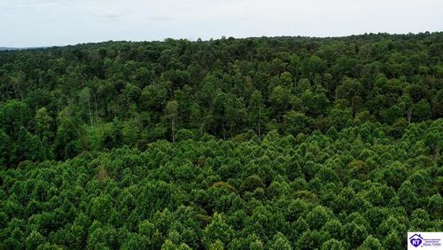 Tract 11 Cook Lane, Cromwell, KY, 42333 | Card Image