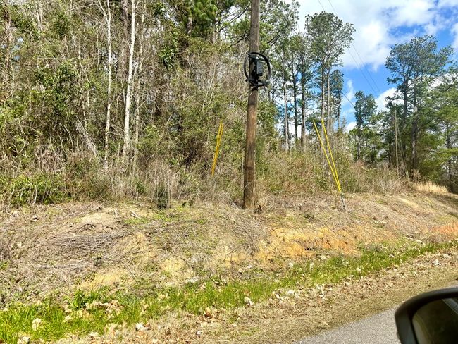 101 Will Thompson Rd, Home with 0 bedrooms, 0 bathrooms and null parking in Picayune MS | Image 15