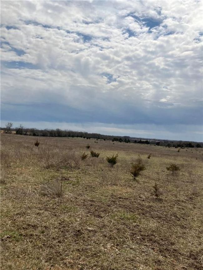 View of local wilderness featuring a rural view | Image 36