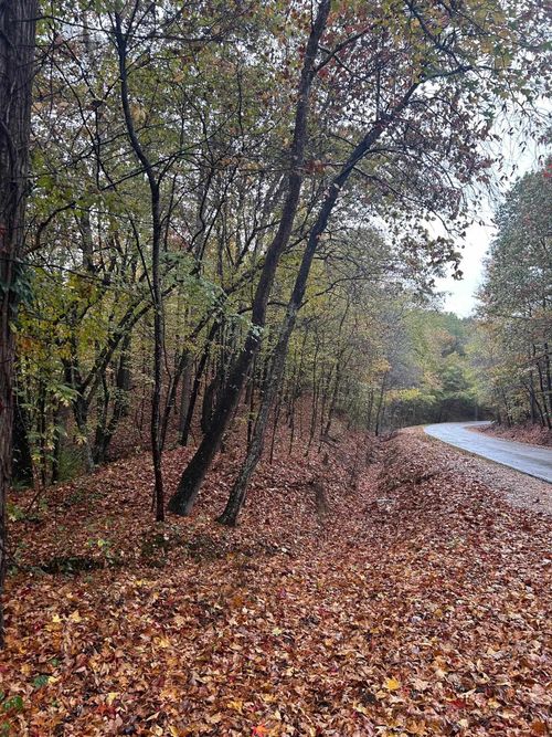 0 County Road 126, Waterloo, AL, 35677 | Card Image