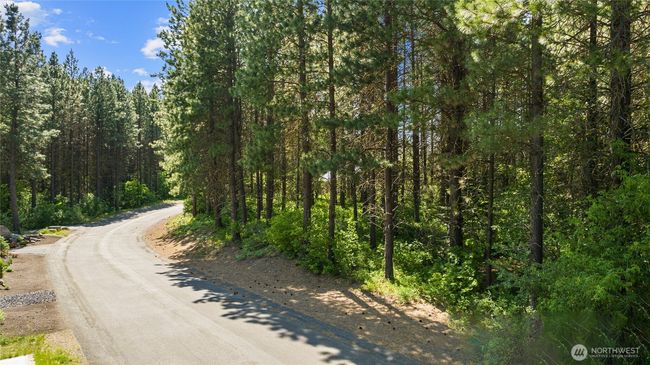 831 Iron Monarch Loop, Home with 0 bedrooms, 0 bathrooms and null parking in Cle Elum WA | Image 23