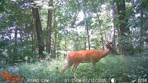 14094 Three Mile Rd, Thomson, IL, 61285 | Card Image