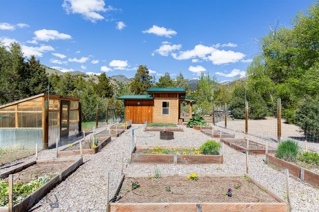 garden | Image 20
