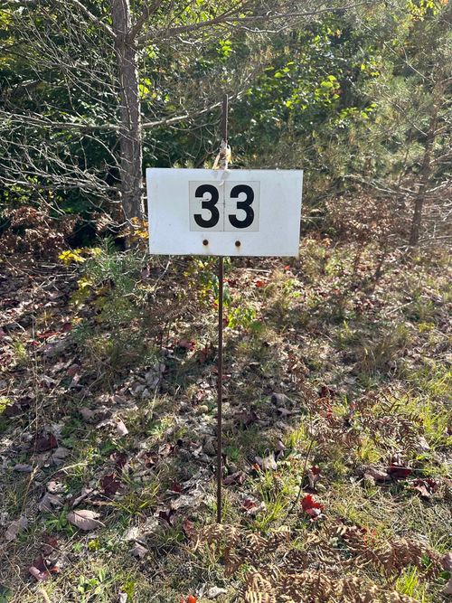 000, Lot 33 Nuthatch Dr, Thompsonville, MI, 49683 | Card Image