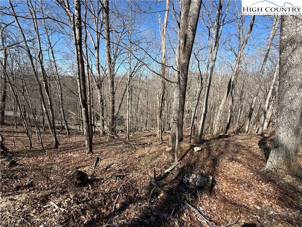 Land in Piney Creek