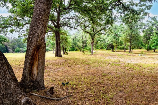 225 Lockwood Rd, House other with 3 bedrooms, 2 bathrooms and 4 parking in Red Rock TX | Image 34