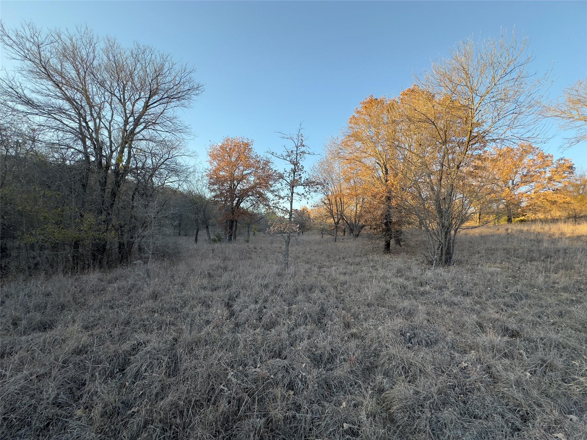 Land in Chico 2