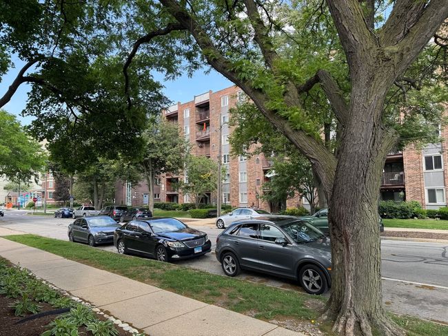 APT-3A - 825 Pearson St, Condo with 2 bedrooms, 2 bathrooms and 1 parking in Des Plaines IL | Image 59