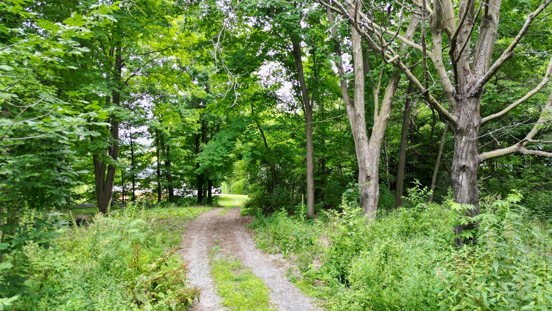 Land in Oka 4