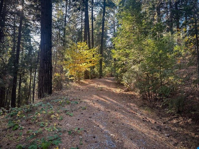 5727 Starkes Grade Rd, Home with 0 bedrooms, 0 bathrooms and null parking in Pollock Pines CA | Image 30