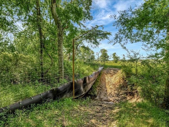 3103 Cheeseland Rd, Home with 0 bedrooms, 0 bathrooms and null parking in Pollok TX | Image 26