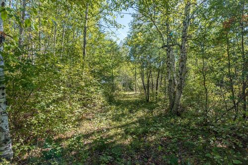 TBD Tract D Little Pine Road, Brainerd, MN, 56401 | Card Image