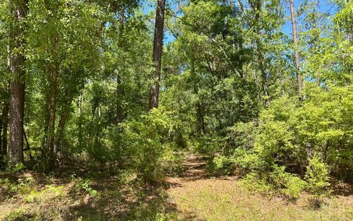LOT37 Nw 79th Dr, Jasper, FL, 32052 | Card Image
