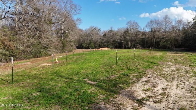ORCHARD | Image 37