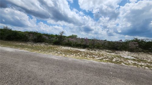 15 County Road 372, Sandia, TX, 78383 | Card Image