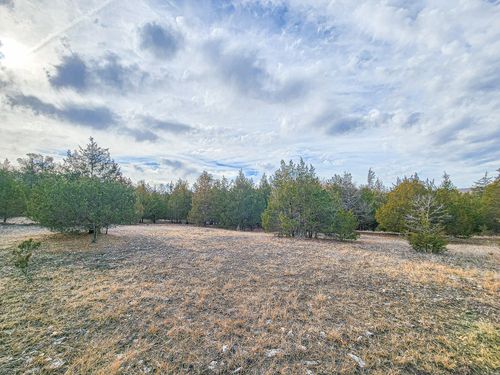 10 Tall Oaks Rd, Pittsburg, MO, 65724 | Card Image