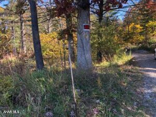 1109 Amelia Ave, Altoona, PA, 16601-5962 | Card Image